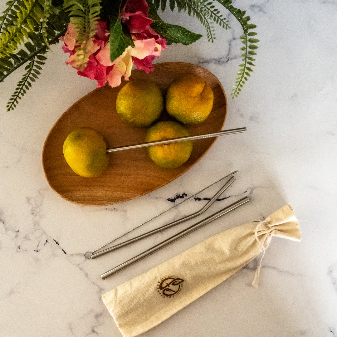 Stainless Steel Straws with Cleaning Brush-Fabartistry