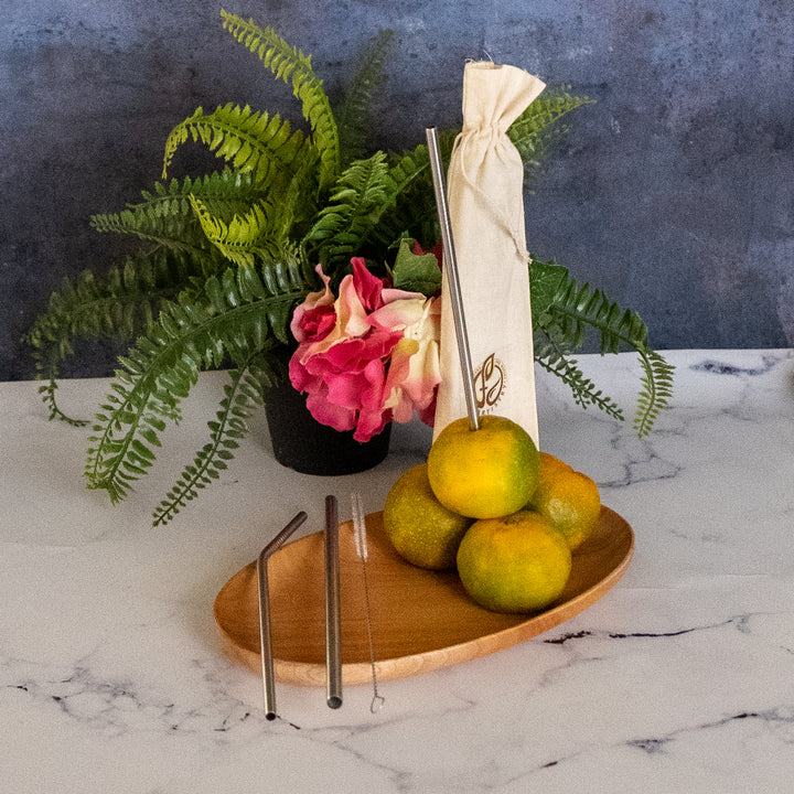 Stainless Steel Straws with Cleaning Brush-Fabartistry